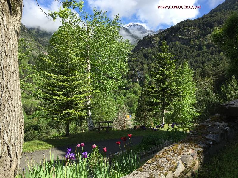 Apartaments La Peguera โบอี ภายนอก รูปภาพ